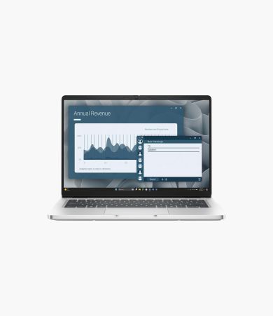 Dell Pro 14 PC14255